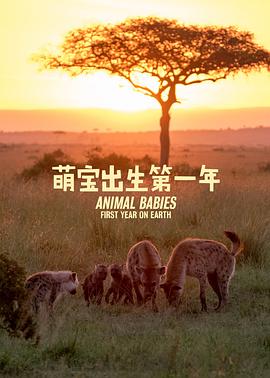 萌寶出生第一年封麵