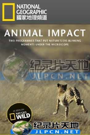 動物構造大揭密封麵