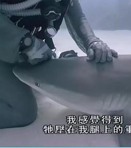 重訪藍色星球封麵