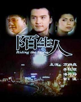 陌生人1999封麵