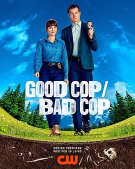 好警察/壞警察封麵