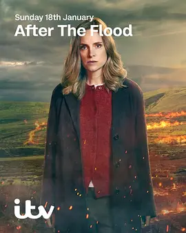 洪水之後(第二季)封麵